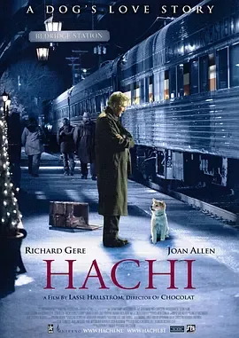 忠犬八公的故事哪里看
