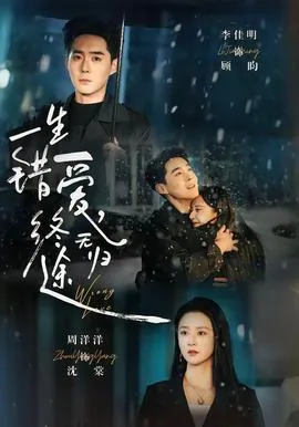 一生错爱什么意思