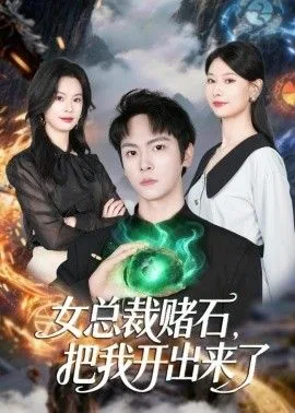 女总裁赌石,把我开出来了图片大全