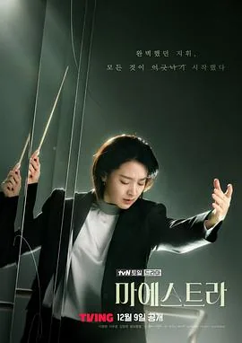 大指挥家弦上的真相剧情介绍