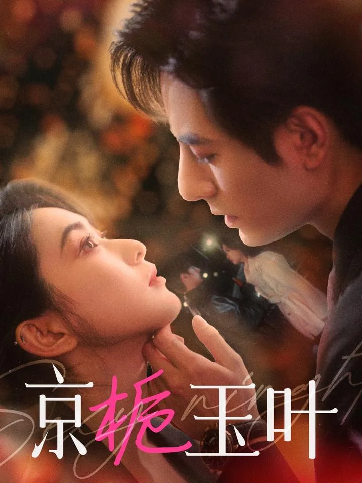 京栀玉叶小说