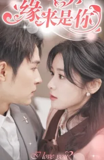 缘来是你 主演