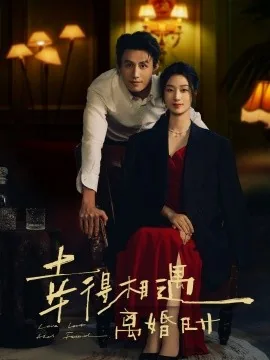 幸得相遇离婚时电视剧免费观看完整版视频