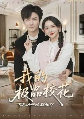 我的极品校花老婆百度百科