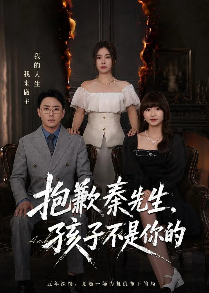 抱歉秦先生孩子不是你的英文