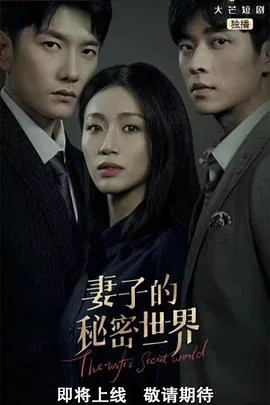 妻子的秘密讲的是什么故事