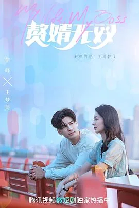 赘婿无双电视剧上映时间