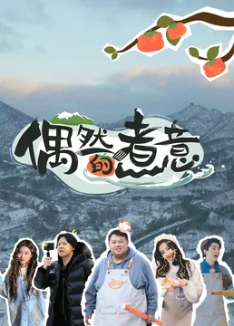 偶然的煮意百度百科