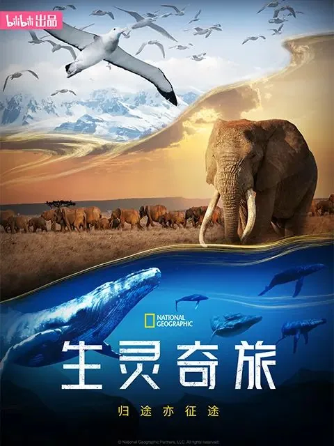 生灵奇旅观后感500字