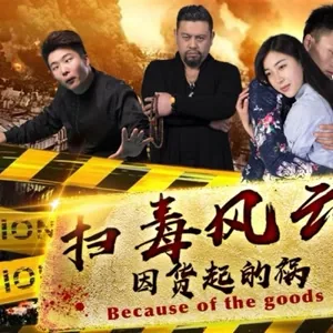 扫毒风暴贺云