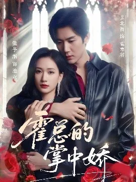 霍总的掌中娇免费阅读乔清然