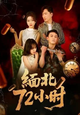 缅北全返