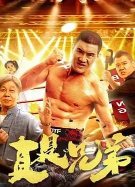 真兄弟小说