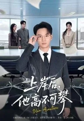 上岸后他高不可攀短剧全集免费观看