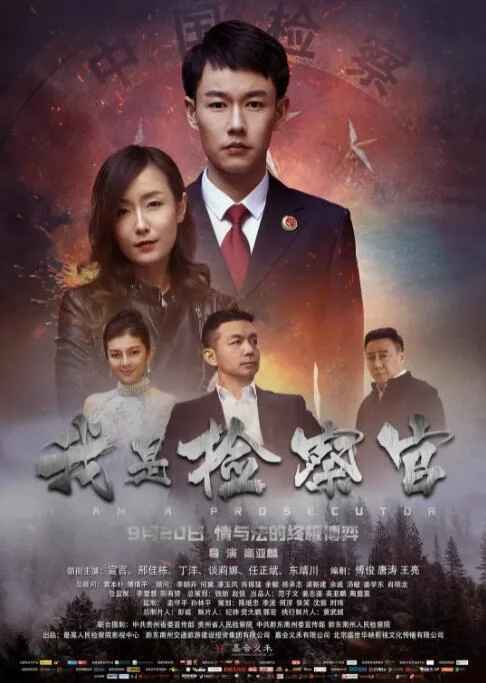 我是检察官电视剧免费观看