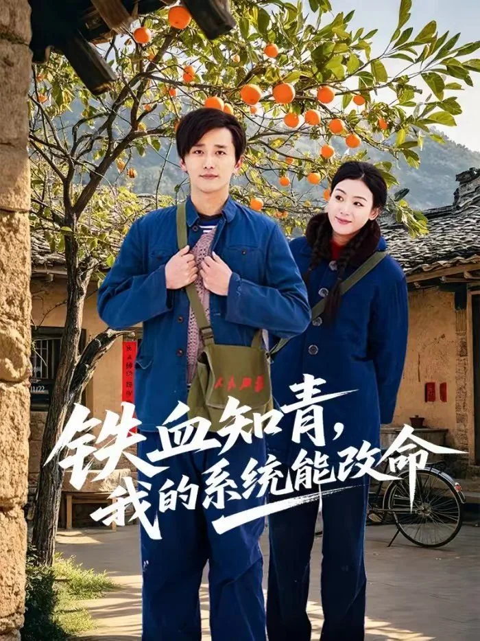 铁血知青,我的系统能改命全集观看