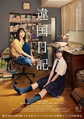 异国日记深度解析