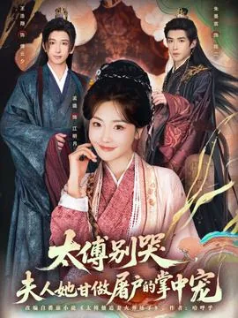 太傅别哭,夫人她甘做屠户的掌中宠短剧