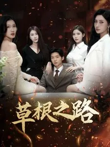 草根之路叶泽涛全免费