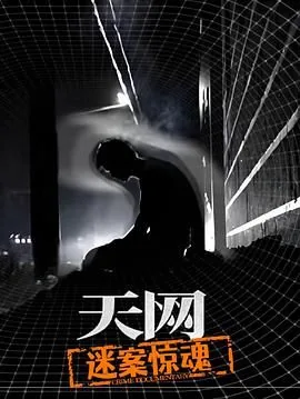 天网迷案惊魂在线观看免费