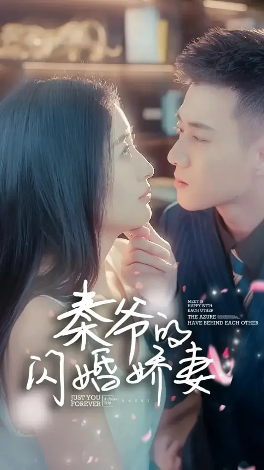 秦爷的闪婚娇妻又美又娇