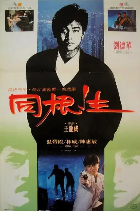 同根生国语完整版