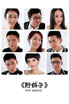野鸽子与斑鸠的区别
