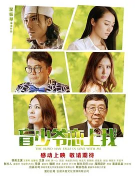 盲少爷恋上我演员表