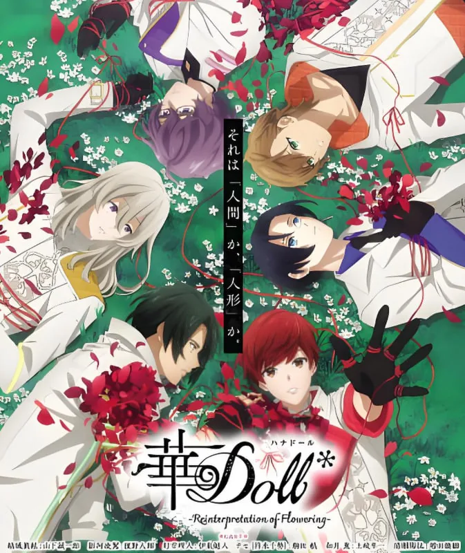 华doll角色