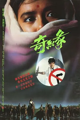 奇缘by李书锦