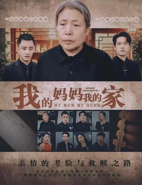 我的妈妈我的家连续剧播放