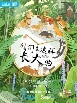 我们是这样长大的纪录片完整版