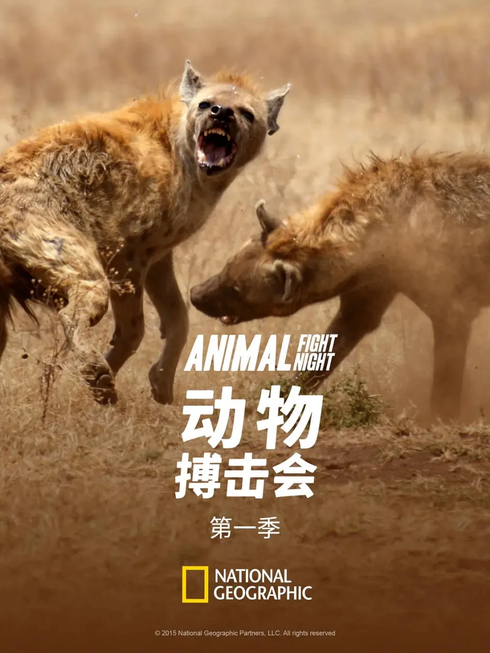 动物搏击会第六季