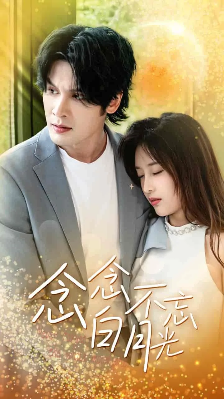 《念念不忘》po