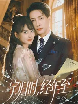 宁归时经年至女主
