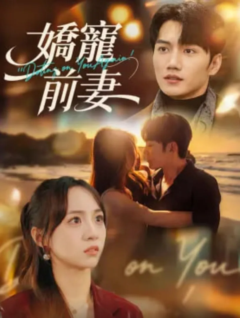 小说 娇宠前妻