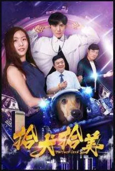 拾犬拾美电影演员