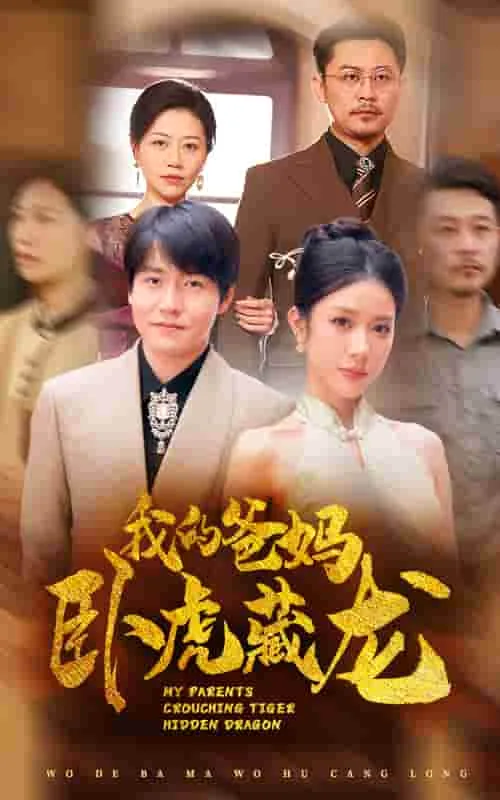 我的爸妈卧虎藏龙凤王扮演者