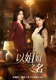 以姐姐之名小说沈明珠