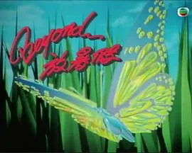 beyond放暑假当年收视率