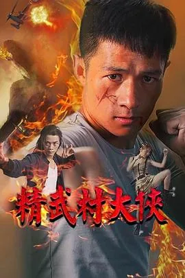 精武村大侠2