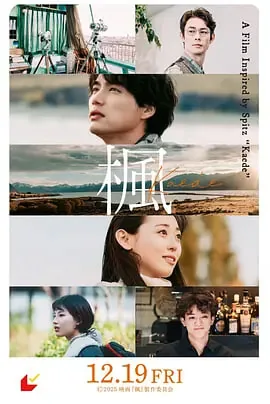 枫枫dj