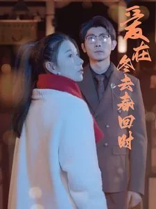 爱在冬去春回时讲的什么