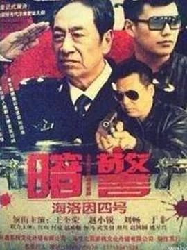 暗警第二季