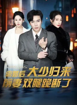 离婚后大少归来前妻双腿跪断了短剧合集