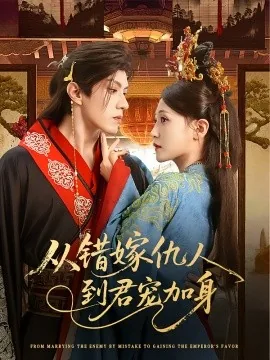 从错嫁仇人到君宠加身什么小说
