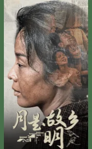 电视剧月是故乡明编剧是谁