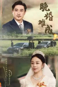 晚婚难成全集在线观看