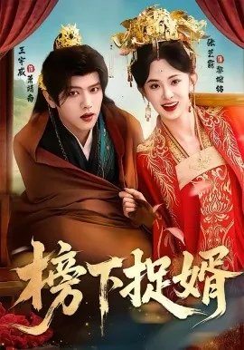 榜下捉婿那天,我和我爹