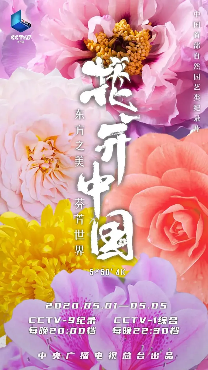 花开中国合唱二声部教唱